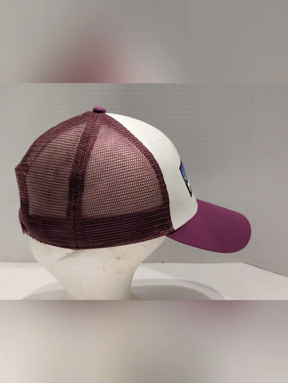 Patagonia Women's P-6 Logo Trucker Mesh Hat Snapback Plum One Size